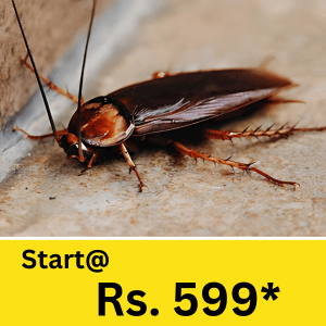 From mosquitoes during the monsoon to termite infestations in wooden furniture, the need for pest control service in Matigara has never been more important.