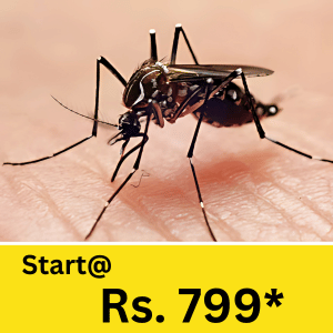 From mosquitoes during the monsoon to termite infestations in wooden furniture, the need for pest control service in Matigara has never been more important.