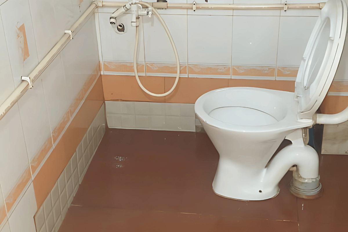 Bathroom_cleaning_homeeassy7